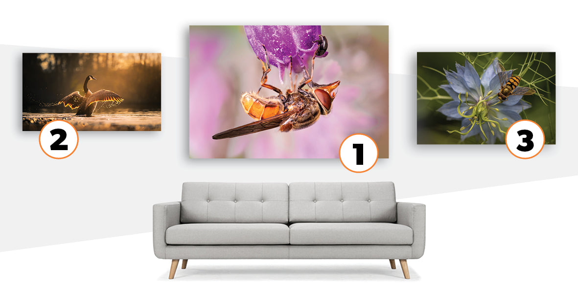 Winners Photo Contest: Springtime, Baby! | 2024-04