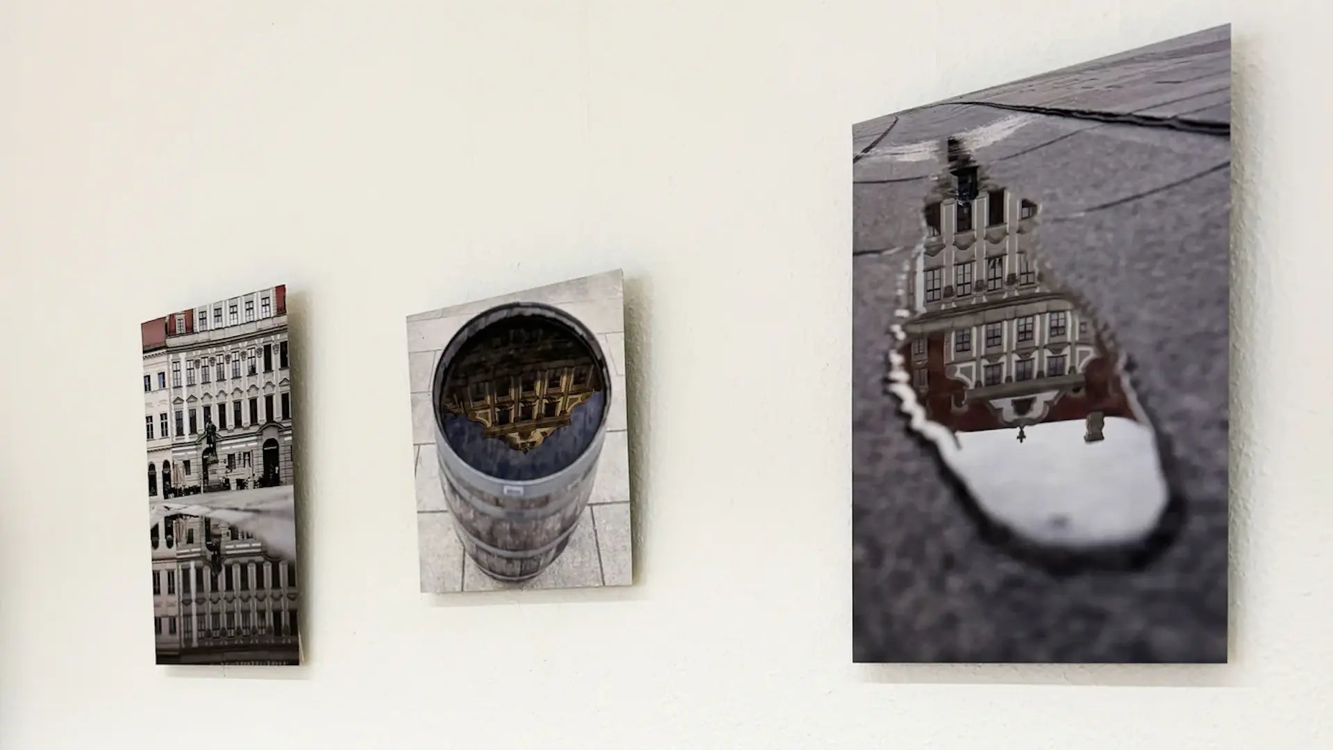 From Snapshot to Showcase: Astrid Förster's Journey to Exhibitions