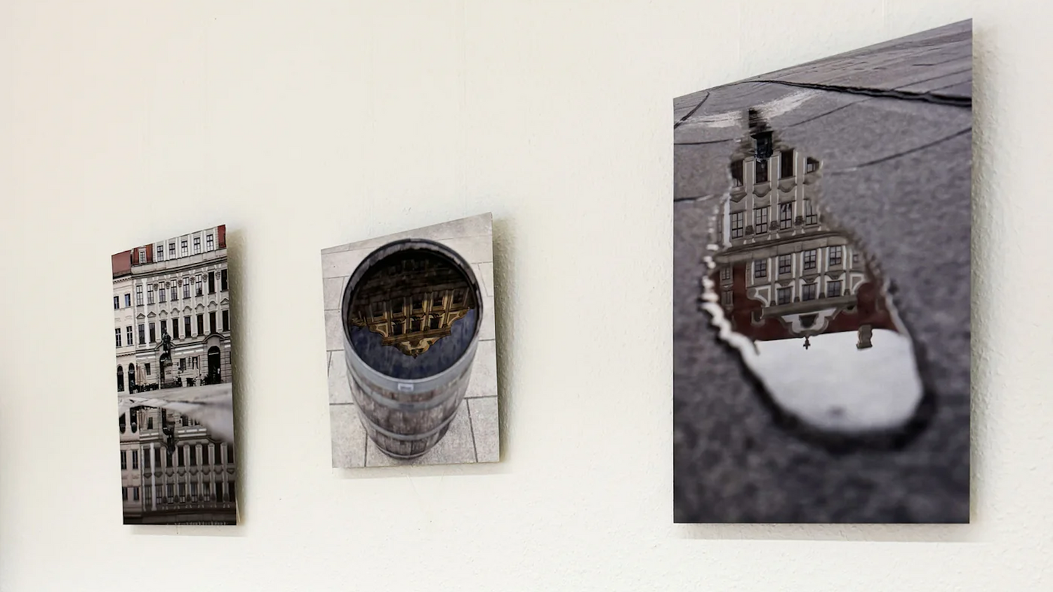 From Snapshot to Showcase: Astrid Förster's Journey to Exhibitions