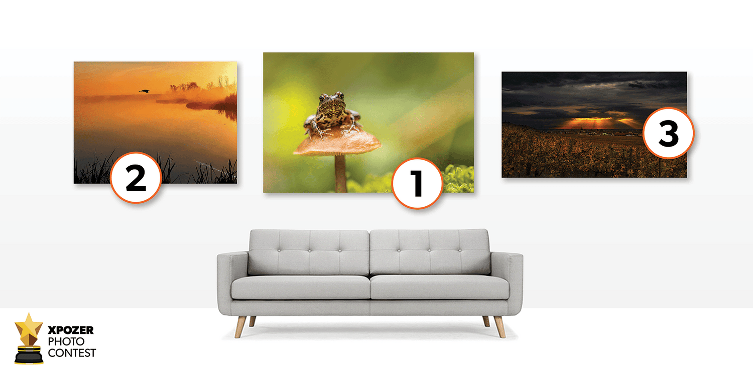 The winner of the photo contest autumn colors