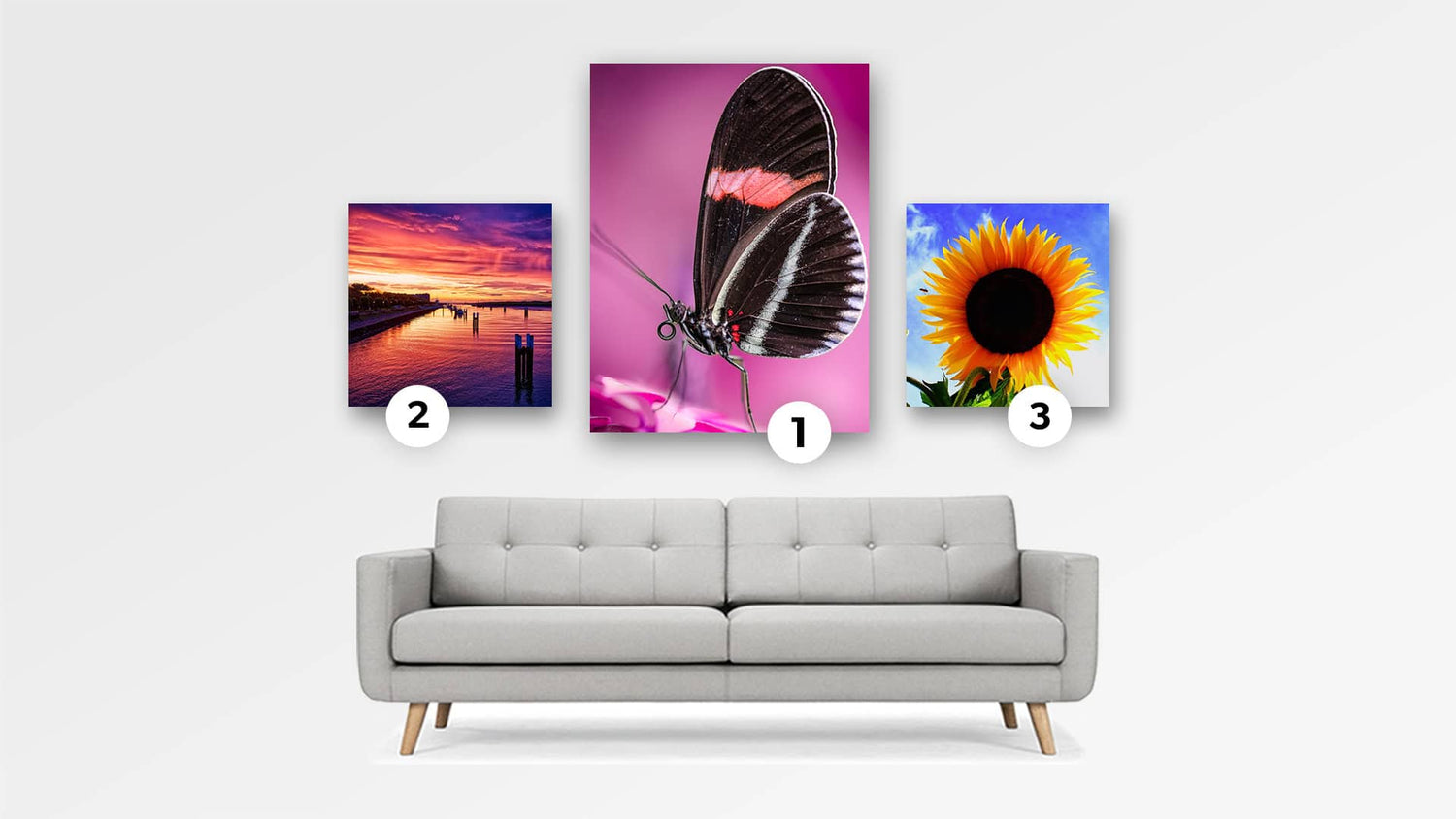 Photo Contest Colorful