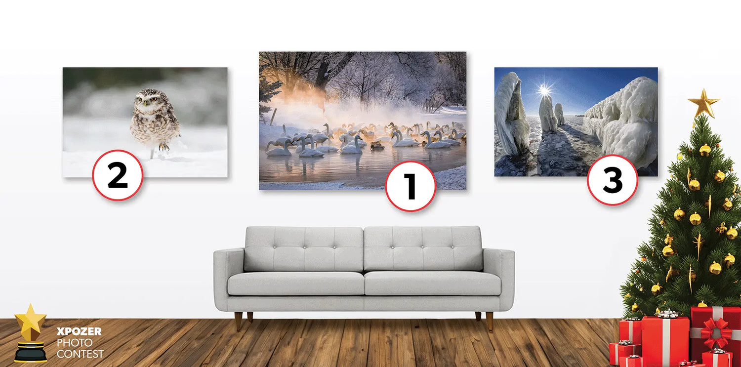 Winner of the photo contest ❄️ SAY FREEZE ❄️