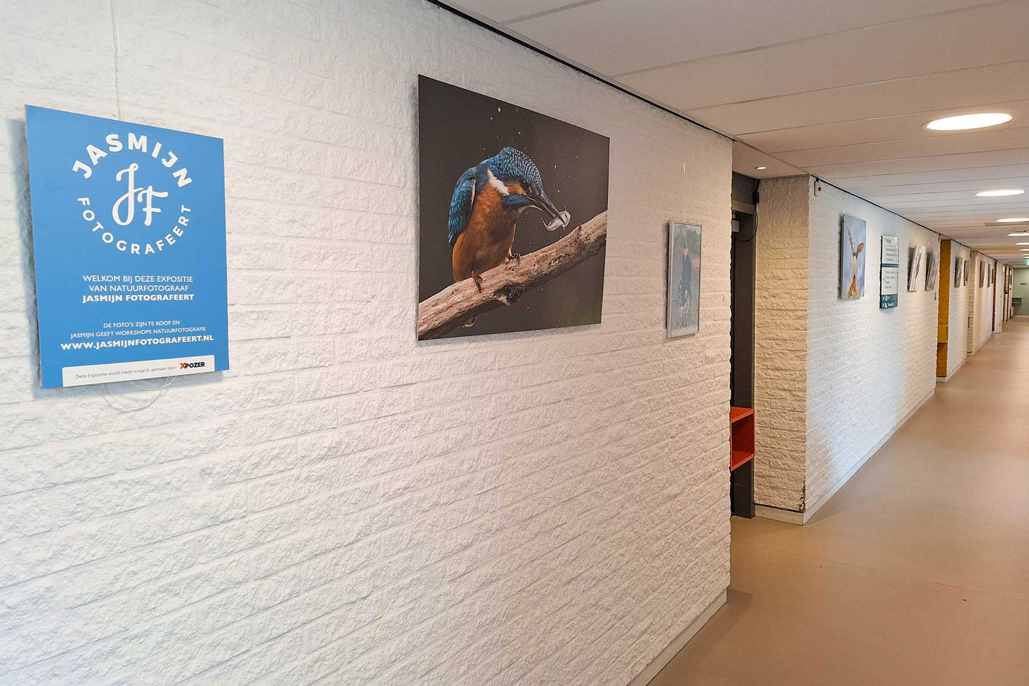 Photo Exhibition: Discover Nature Photography by Jasmijn Fotografeert in Loenen