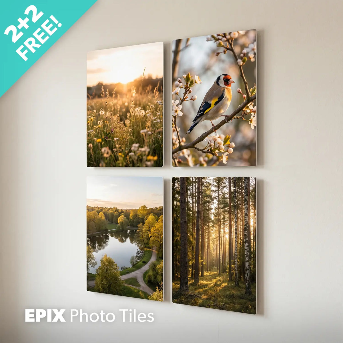 EPIX 20x30 cm (2+2 Free) EPIX Voucher Deal