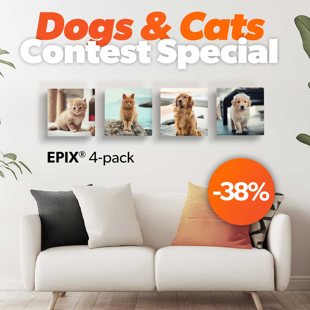 Voucher Deals