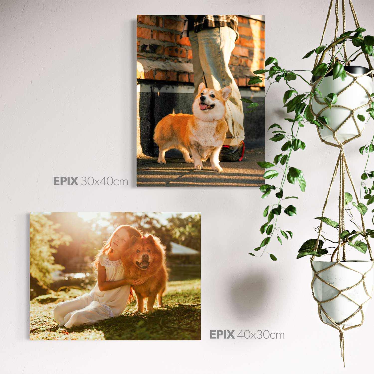 EPIX 30x40cm (2-pack) - Voucher Deal