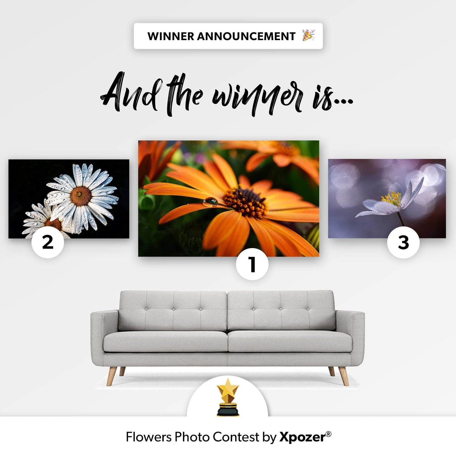 Winner Photo Contest Flowers