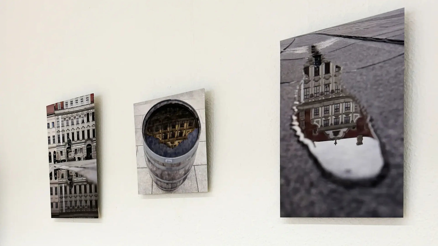 From Snapshot to Showcase: Astrid Förster's Journey to Exhibitions