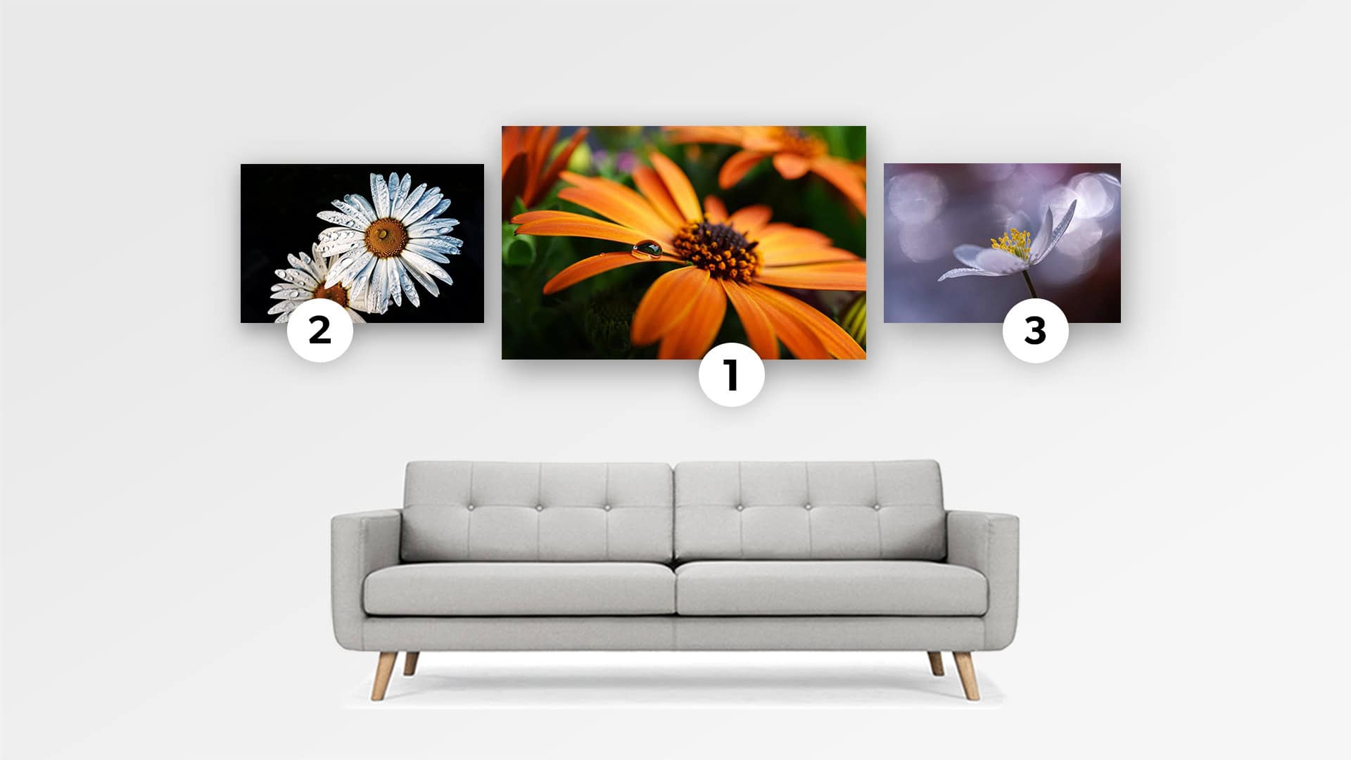 Photo Contest Flowers