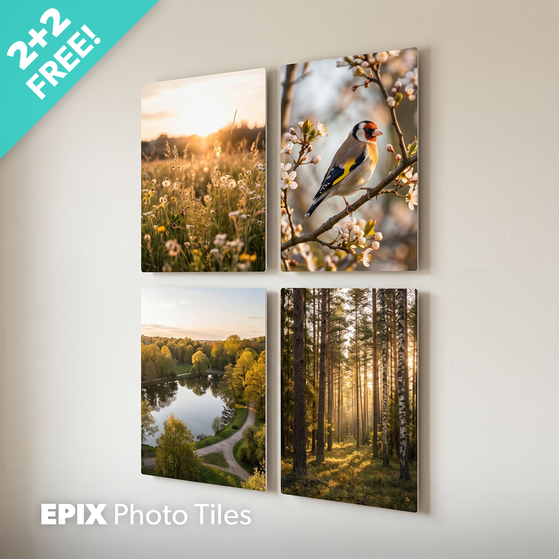 EPIX 20x30cm (2+2 Gratis)