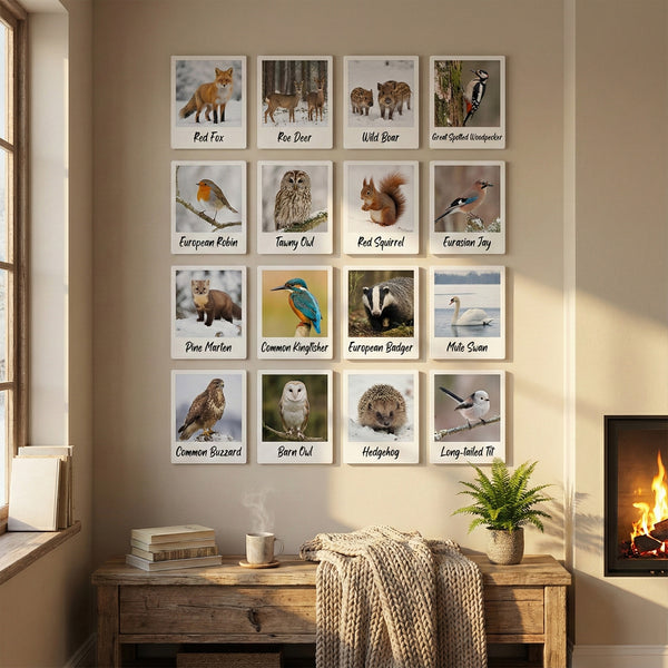 EPIX Voucher Packs - Retro