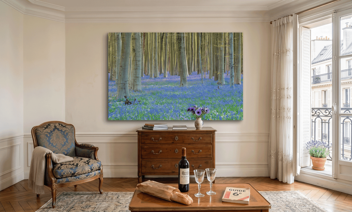 Bluebells in the Haller Forest