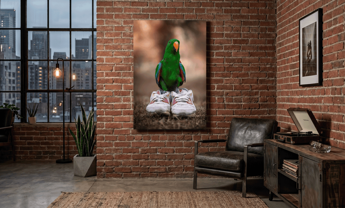 Kiwi the Eclectus Parrot with sneakers