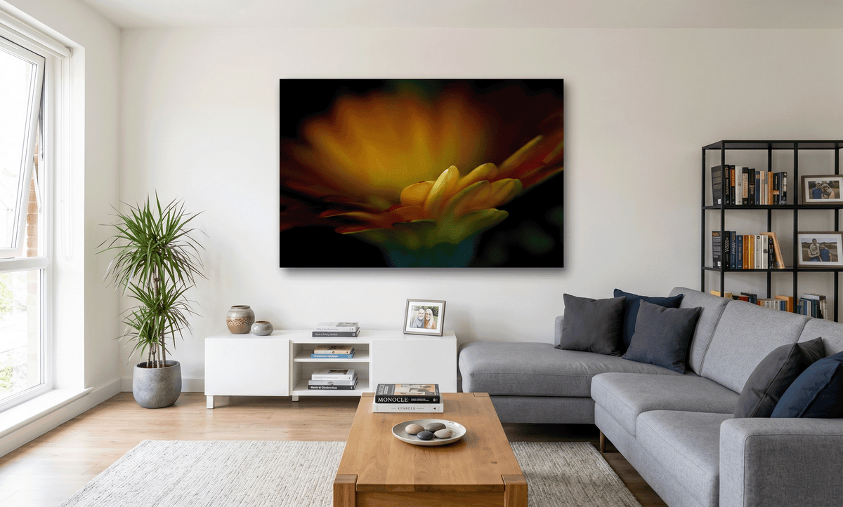 Gerbera in Natural Light