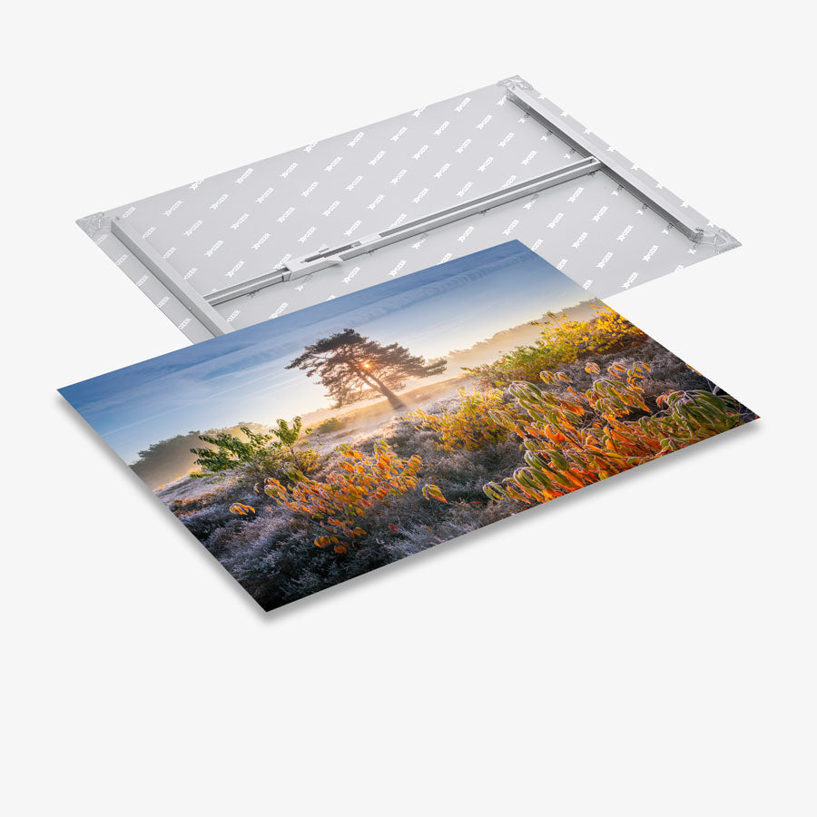 EPIX Photo Tiles | Magnetic Wall Decor to Create Your Gallery Wall