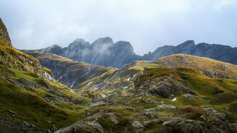 Landscapes